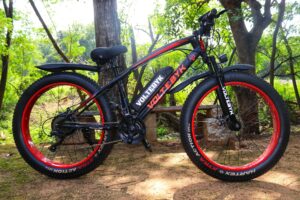 fatbike online bestellen